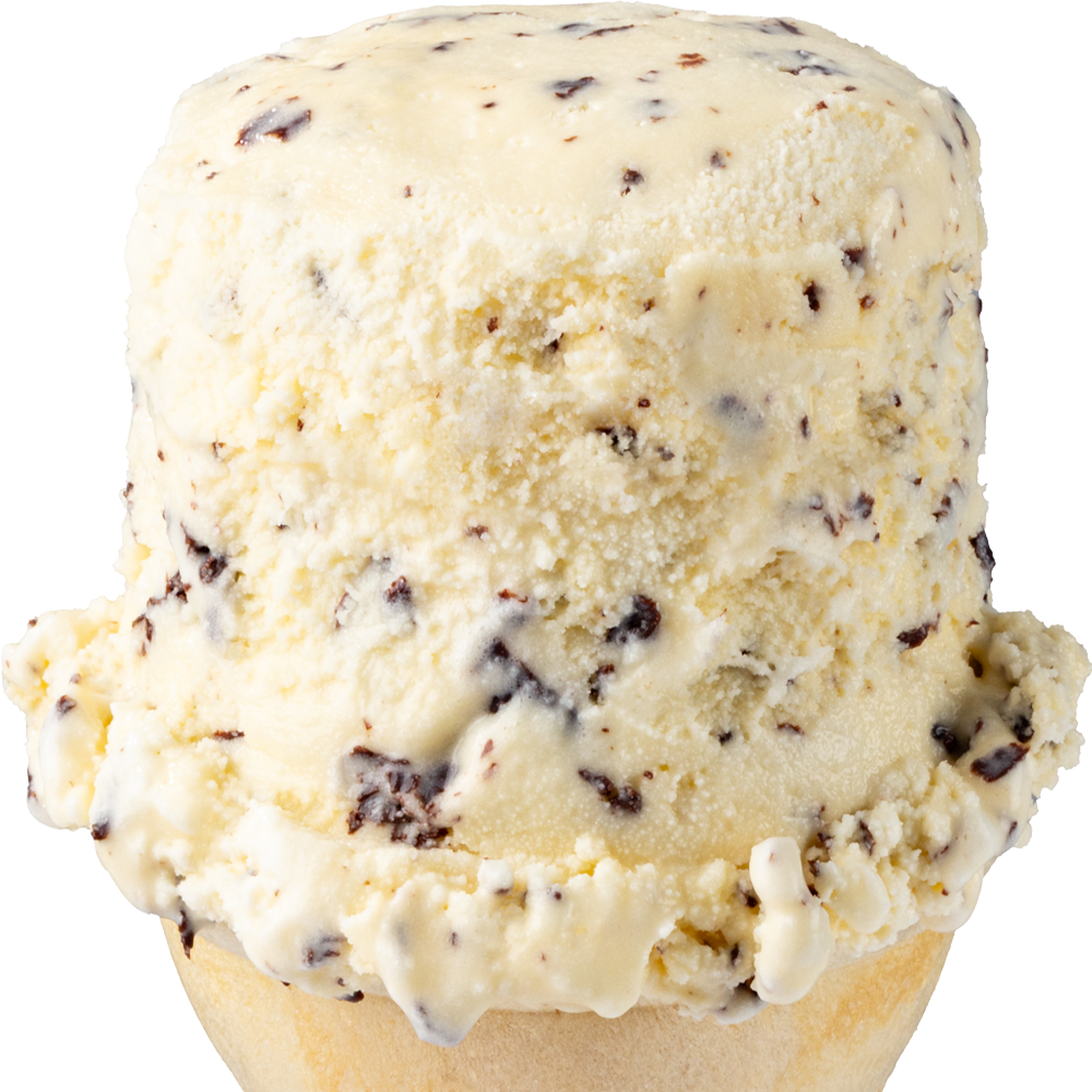 Chocolate Chip Ice Cream