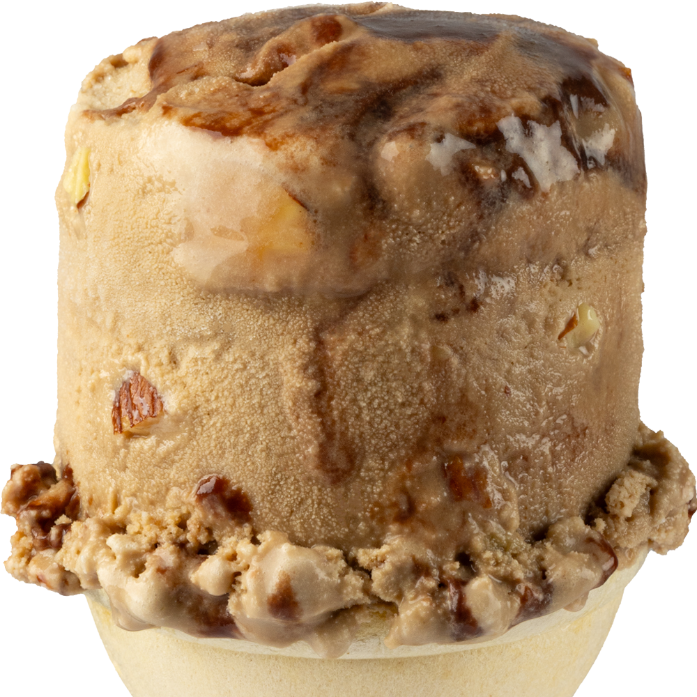 Mocha Almond Fudge Ice Cream