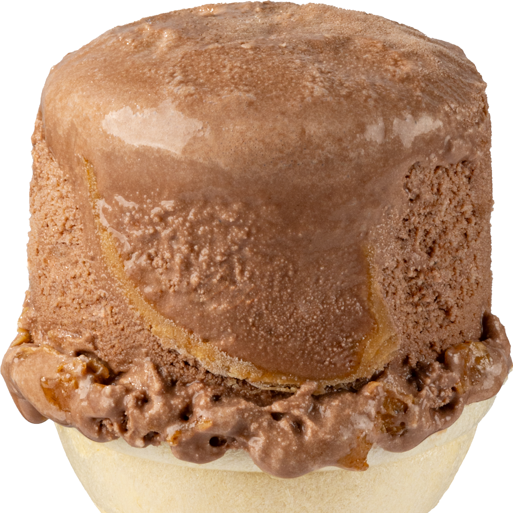 Chocolate Peanut Butter Ice Cream