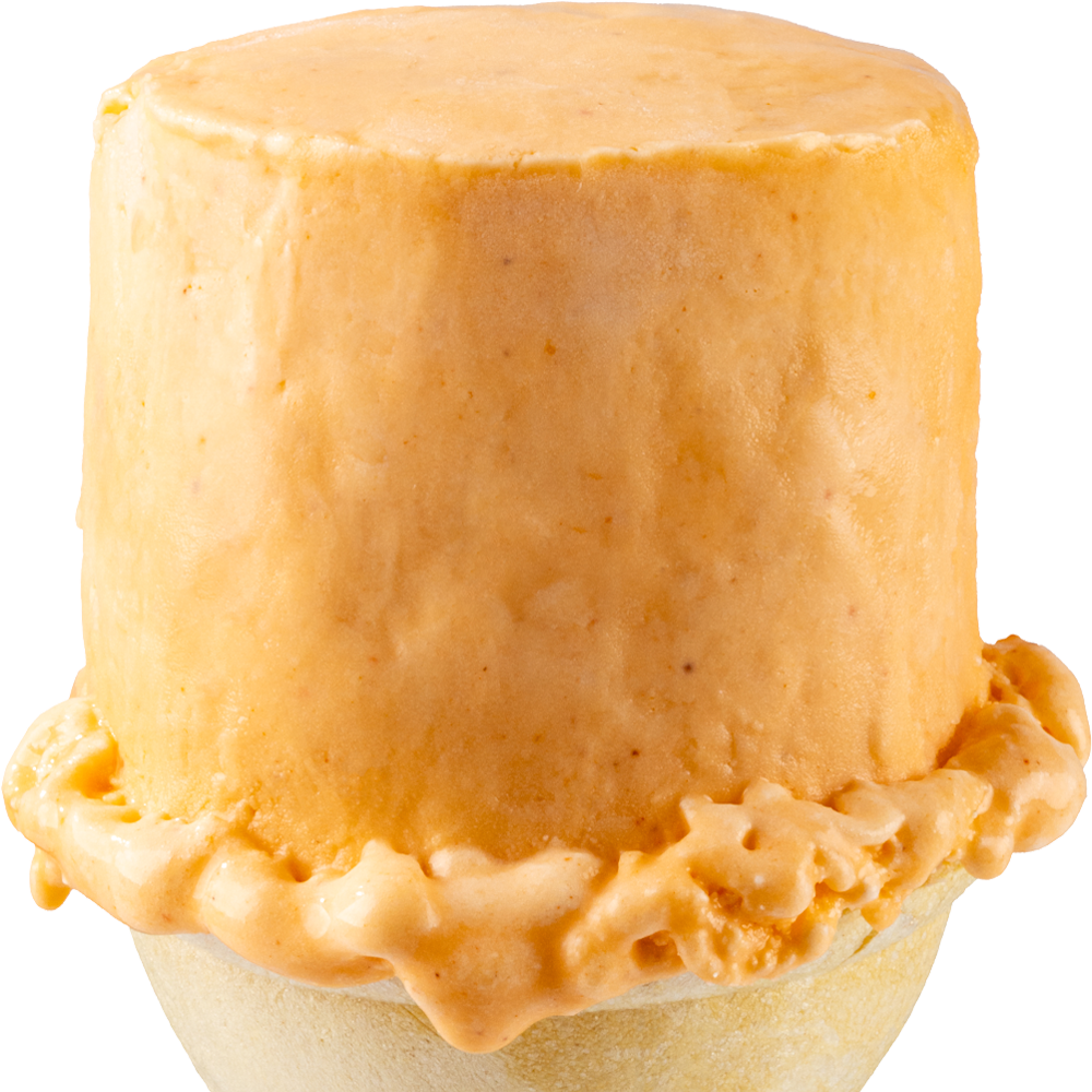 Pumpkin Spice Ice Cream