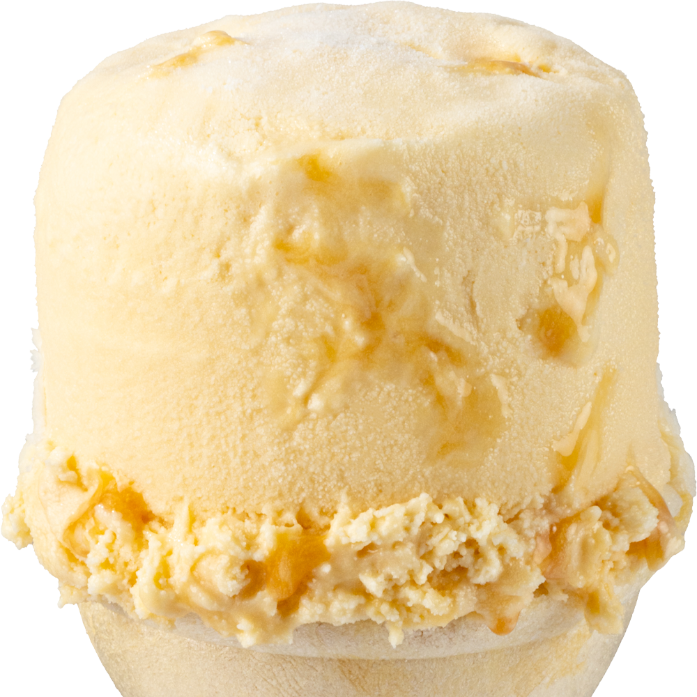 Salted Caramel Ice Cream