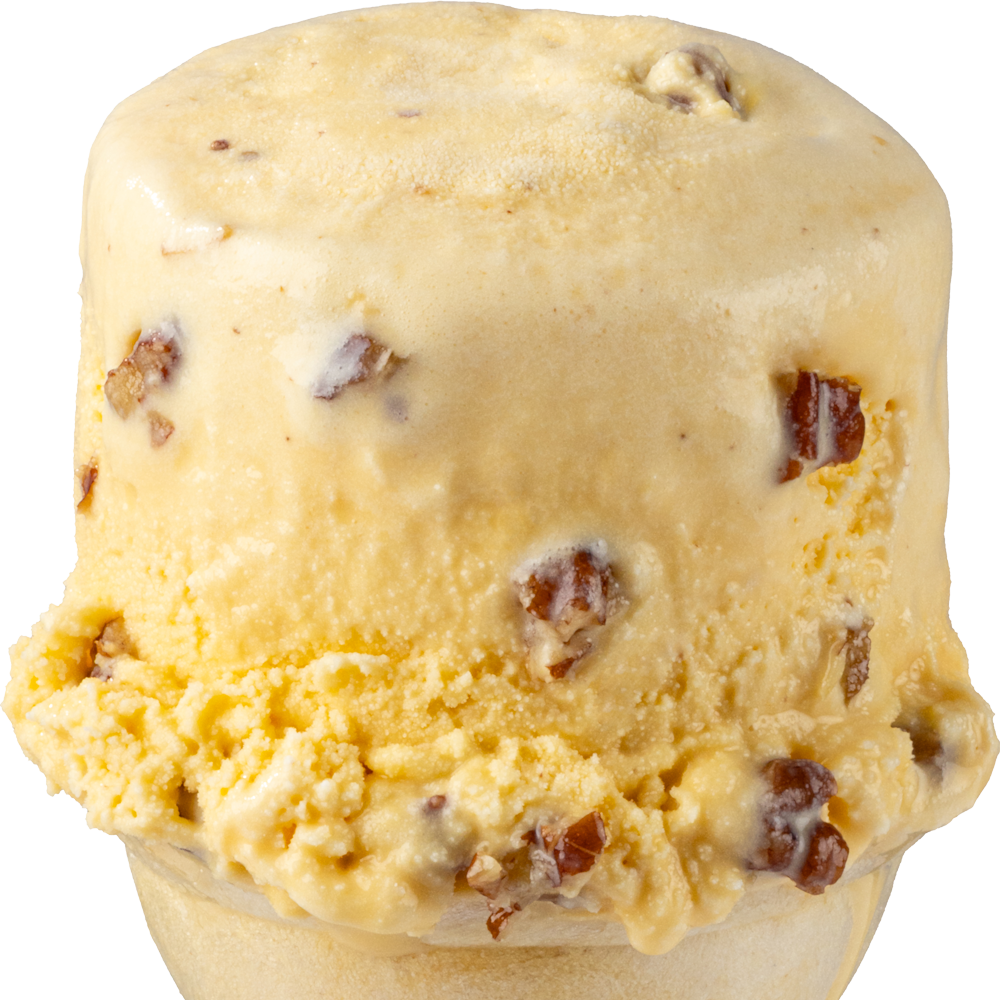 Butter Pecan Ice Cream