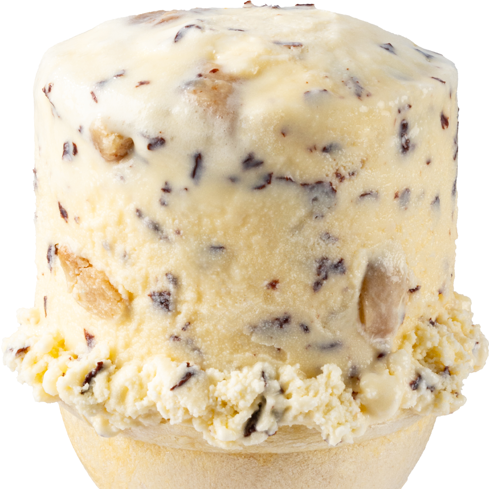 Chocolate Chip Cookie Dough Ice Cream