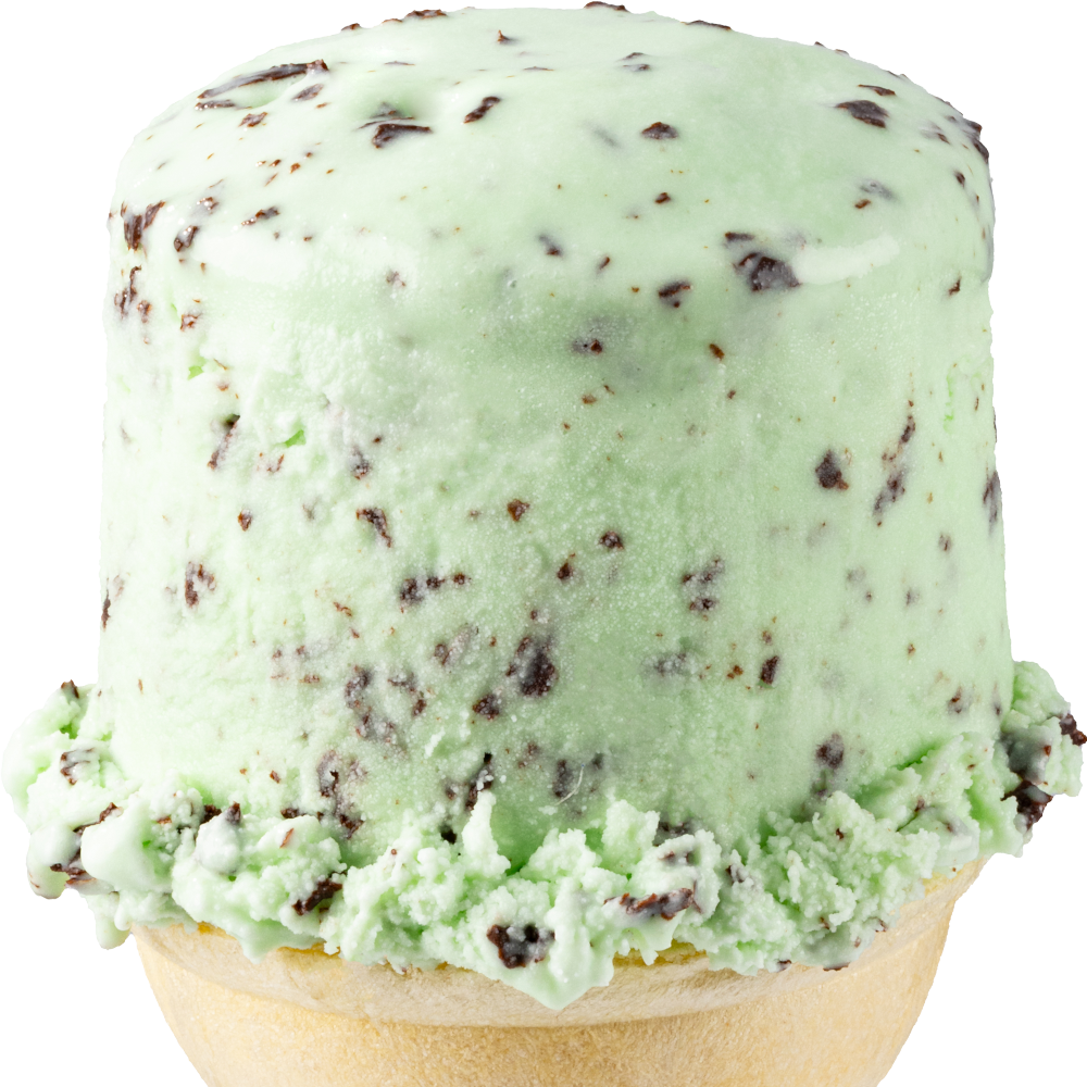 Mint 'N Chip Ice Cream