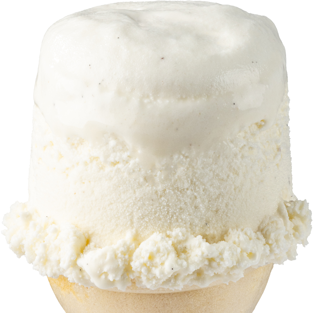Vanilla Bean Ice Cream
